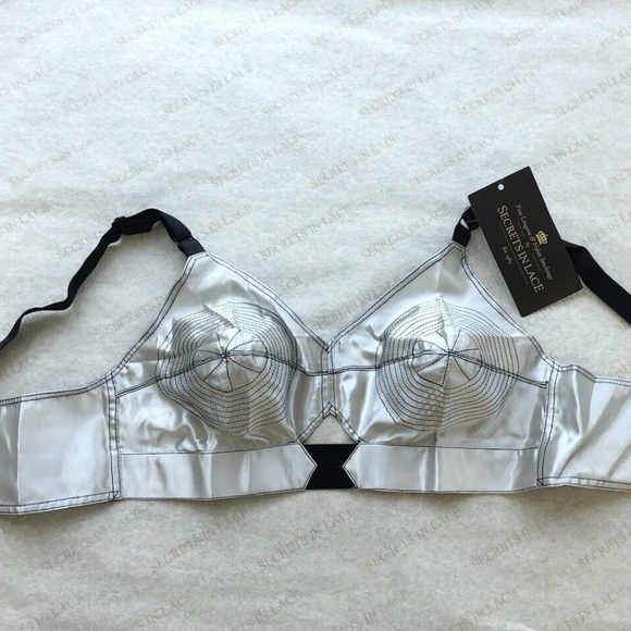 Secrets in Lace Bullet Bra - Picture 1 of 4
